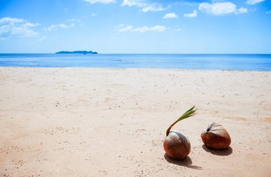 Tropikal ada sahilinde güzel hindistan cevizleri mavi gökyüzü ve yazın bulutlar, plaj kaçamağı tatil beldesi.
