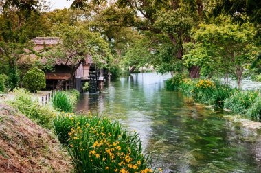 28 Mayıs 2013 Nagano, Japonya - Sazlı kulübesi ve eski su türbini ile temiz doğal dere, Daio Wasabi Çiftliği 'nin güzel çiçek bahçesi