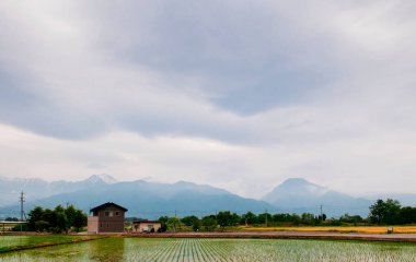 Japonya Alp Dağları manzaralı Hotaka kasabasının yeşil pirinç tarlasında bulutlu bir günde, Nagano Bölgesi - Japonya