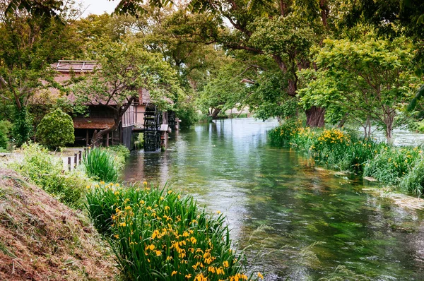 28 Mayıs 2013 Nagano, Japonya - Sazlı kulübesi ve eski su türbini ile temiz doğal dere, Daio Wasabi Çiftliği 'nin güzel çiçek bahçesi