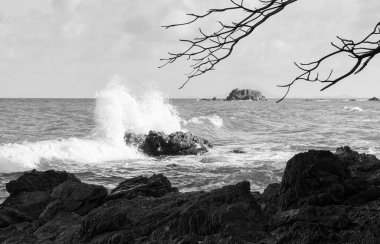 Beyaz dalga, tropikal ada siyah ve beyaz görüntüsünde okyanus kayası kıyılarını vurur. Güney Tayland.