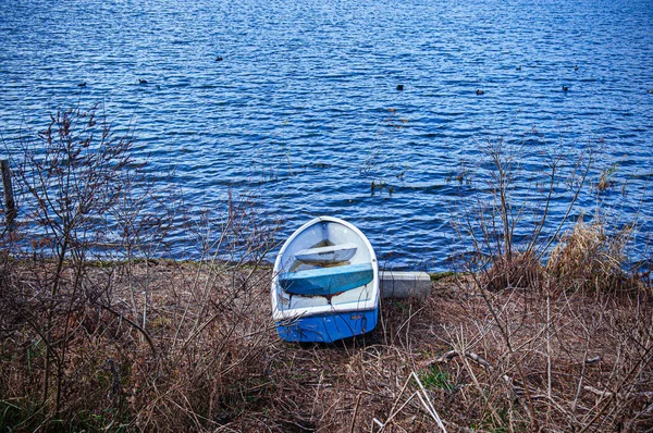 Старая Сломанная Лодка Застряла Берегу Озера Кавагутико Сухой Травой Ветвями — стоковое фото