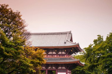 24 Haziran 2014, Ota-Ku, Tokyo, Japonya: Ikegami Honmon-ji Tapınağı büyük ve şaşırtıcı binalardan oluşan bir koleksiyona sahiptir. Burada ölen Aziz Nichiren 'i onurlandırıyor..