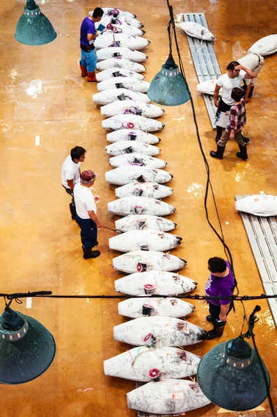 26 Haziran 2014 Kawasaki, Japonya: Ton balığı açık artırması sırasında Japon taze balık pazarındaki tüccarlar