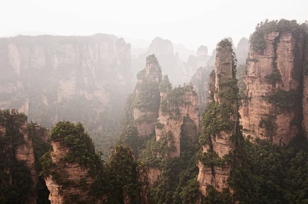 Hunan-Çin 'deki Wulingyuan Sahne Bölgesi' ndeki Zhangjiajie dağının egzotik kayalıkları ve yüzen ormanları.