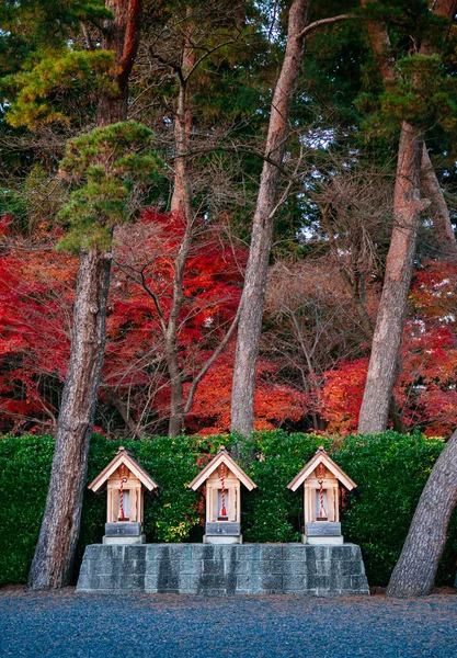 Morioka Hachimangu Shrine small spirit house with red autumn maple trees and big pine tree - Iwate, Japan - Tohoku region beautiful historical landmark
