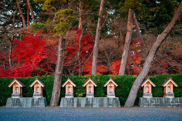 Morioka Hachimangu Svatyně Malý Lihovar Červenými Podzimními Javory Velkou Borovicí — Stock fotografie