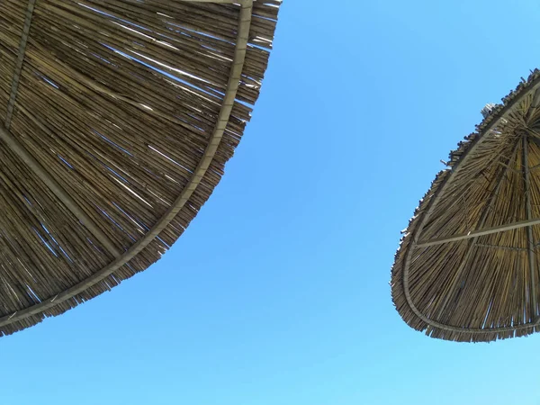 Parapluies en paille contre un ciel bleu. Parasols . — Photo