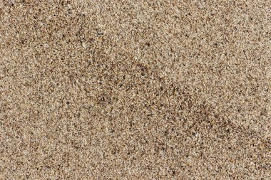 Arkaplan olarak kum dokusu.