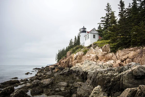 Bass Harbor Head Lighthouse Maine — Stock Photo, Image