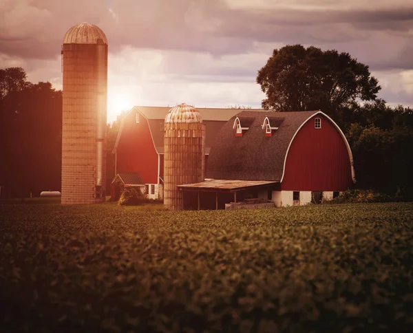 Typische Farm Mittleren Westen Der Usa — Stockfoto