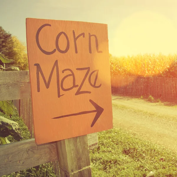 Kukorica Labirintus Jelre Mező Kukorica Instagram Stílusban Szűrővel — Stock Fotó