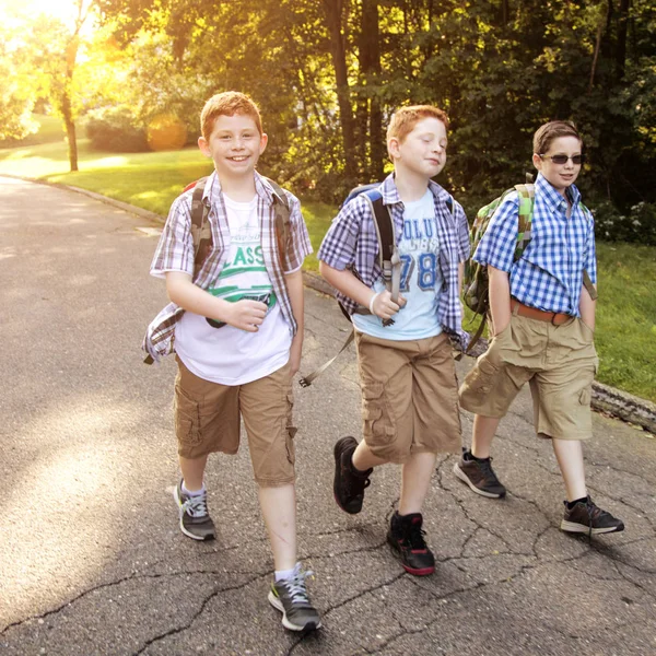 Drie Jongens Lopen Naar Bushalte Van Ochtend Rechtenvrije Stockfoto's