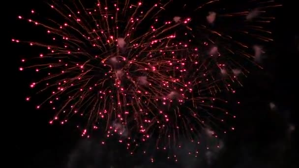 Prachtige vakantie vuurwerk op vakantie — Stockvideo