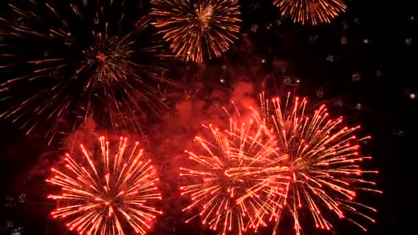 A fesztiválon a nagy tűzijátékok — Stock videók