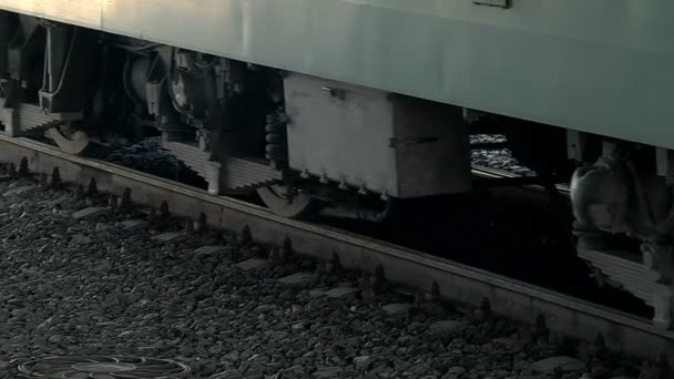 Um trem de carga corre ao longo da plataforma da estação — Vídeo de Stock