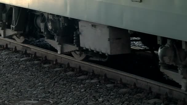 Un treno merci corre lungo il binario della stazione — Video Stock