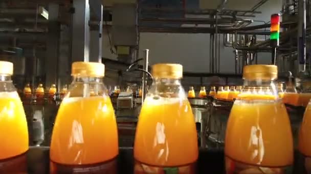 Garrafas cheias de suco estão se movendo ao longo do transportador — Vídeo de Stock