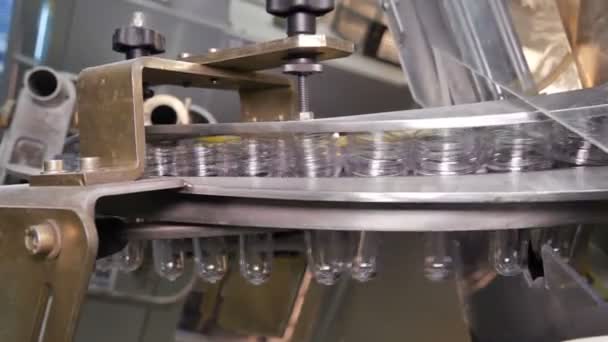 Plastic preform bottles move through the machine for blowing — Stock Video