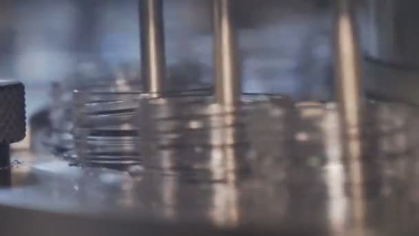 Las botellas de preforma de plástico se mueven a través de la máquina para soplar — Vídeo de stock