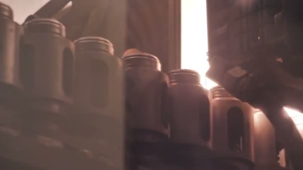 Las botellas de preforma de plástico se mueven a través de la máquina para soplar — Vídeo de stock