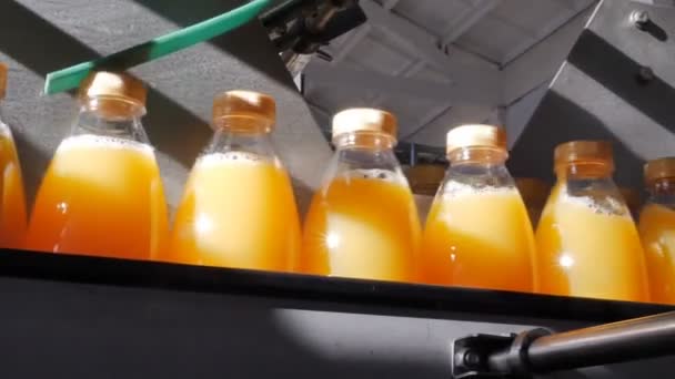 Botellas llenas de jugo se mueven a lo largo del transportador — Vídeo de stock