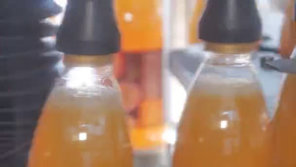 Riempimento di bottiglie di plastica con prodotti — Video Stock