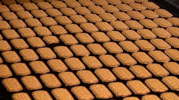 Biscotti finiti sul trasportatore — Video Stock