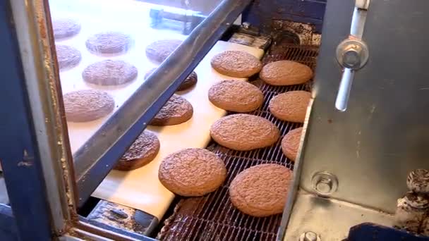 Haferflocken-Kekse mit Schokoladenglasur überzogen — Stockvideo