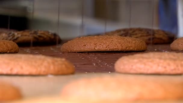 Havermout koekjes bedekt met chocolade slagroom — Stockvideo