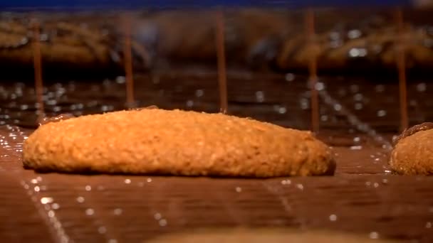Овсяные печенья, покрытые шоколадной глазурью — стоковое видео