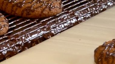 Konveyör hareket hazır yulaf ezmeli kurabiye