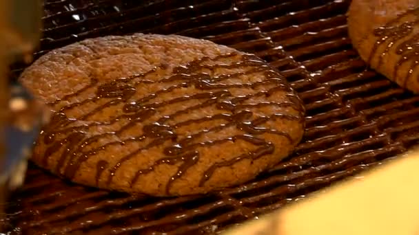 Havermout koekjes bedekt met chocolade slagroom — Stockvideo