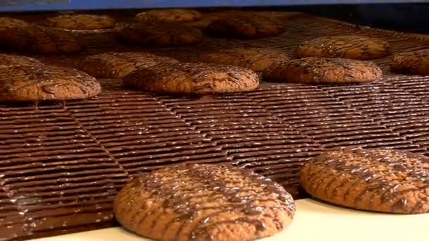 Galletas de avena listas moviéndose a través del transportador — Vídeo de stock