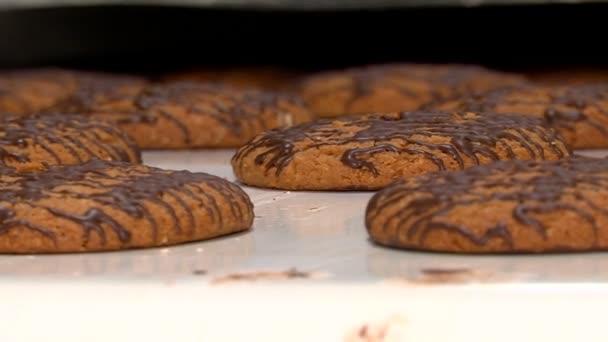 工場のコンベアを進める準備ができてオートミール クッキー — ストック動画