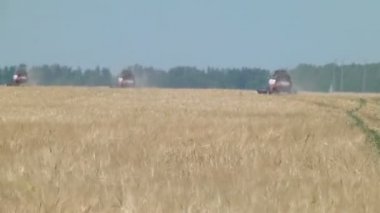 Hasat hasat arpa birleştirmek