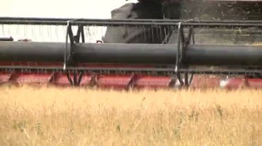 Hasat hasat arpa birleştirmek