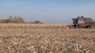Bir birleştirme alanındaki Mısır hasat