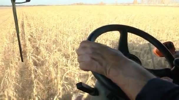 Mãos colheitadeira motorista no volante e controle de joystick — Vídeo de Stock