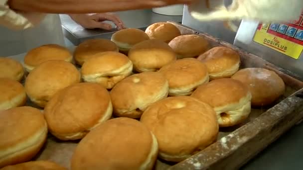 Espolvorear con donas de azúcar en polvo — Vídeo de stock