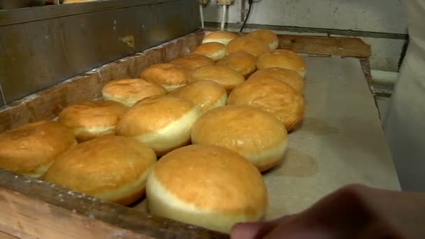 Putting hot cooked donuts on baking paper — Stock Video