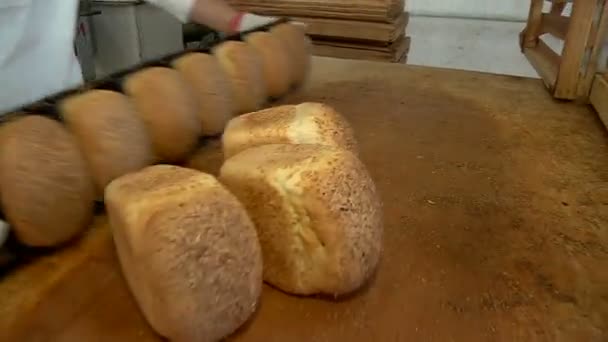 Mens hands spread baked bread from molds — Stock Video