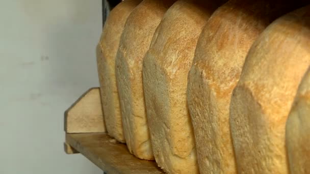 Panorama of just cooked loaf of bread — Stock Video