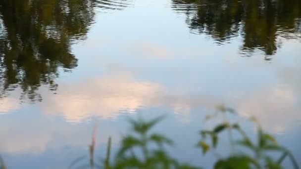 De reflectie van de hemel op het wateroppervlak — Stockvideo