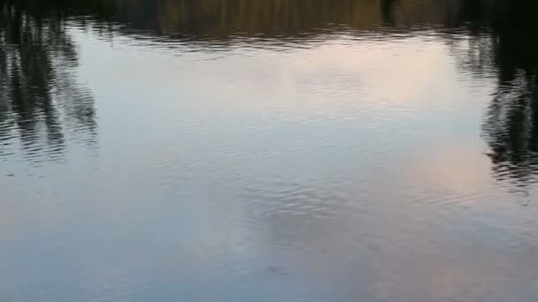 De reflectie van de hemel op het wateroppervlak — Stockvideo