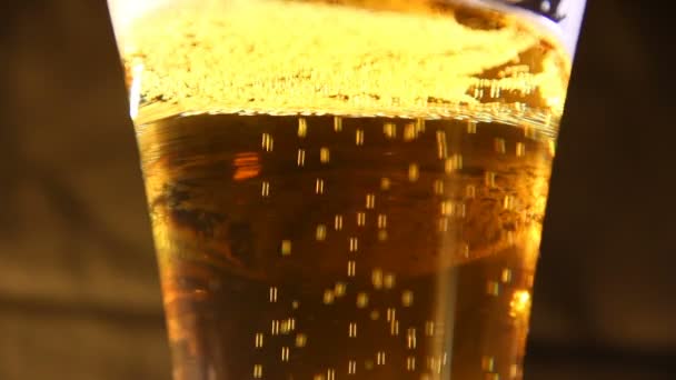 Cerveza vertida en un vaso — Vídeos de Stock