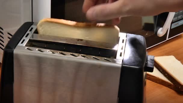Haz tostadas en la tostadora. — Vídeo de stock
