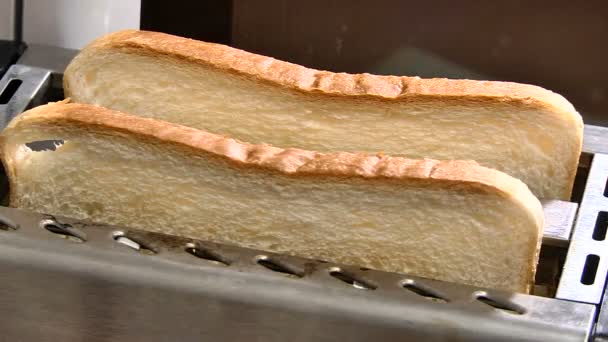 在烤面包机里烤面包 — 图库视频影像