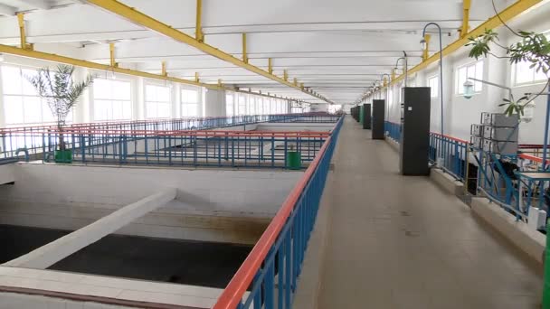 Operação da estação de bombeamento de filtro para purificação de água — Vídeo de Stock