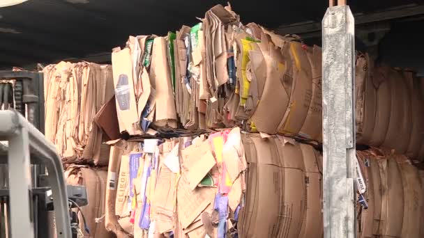 The cardboard packaging is compressed and prepared for recycling — Stock Video